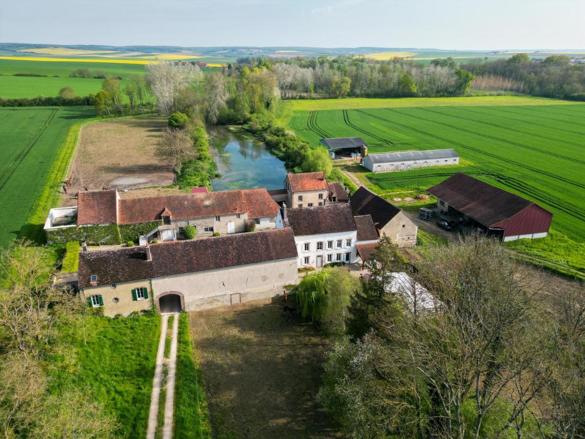 Le Moulin Neuf Brienon-sur-Armançon Exterior foto