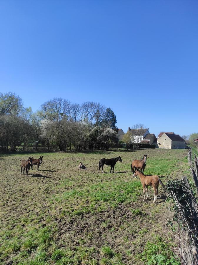 Le Moulin Neuf Brienon-sur-Armançon Exterior foto
