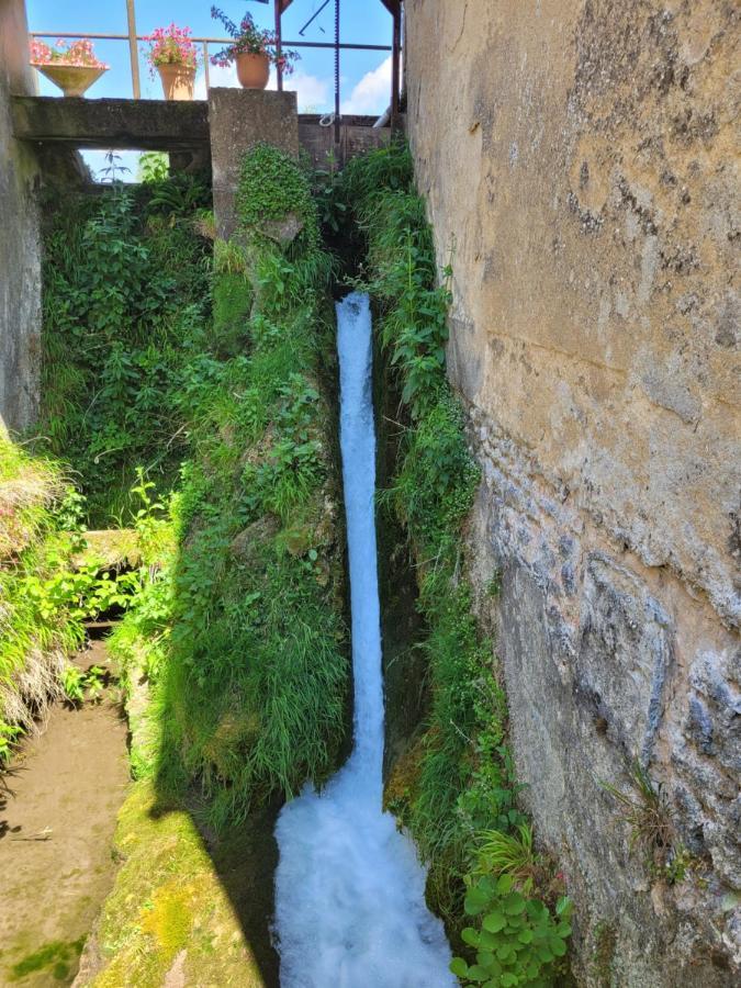 Le Moulin Neuf Brienon-sur-Armançon Exterior foto